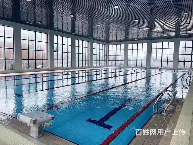 淄博哪里做游泳池 - 图片 3