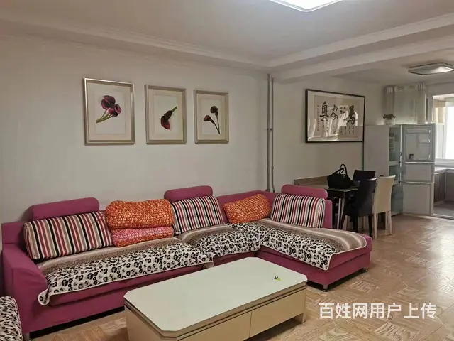 万达广场东侧福莱花园南侧辛庄街精装三室二厅南北通透多层六楼 - 图片 3