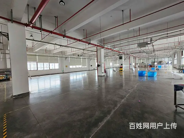 大义单层5800平和2800平方，可分租，有行车，可环评 - 图片 1