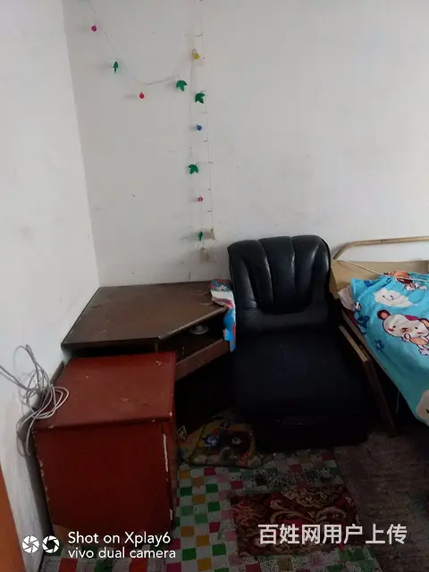 房屋出租 - 图片 4