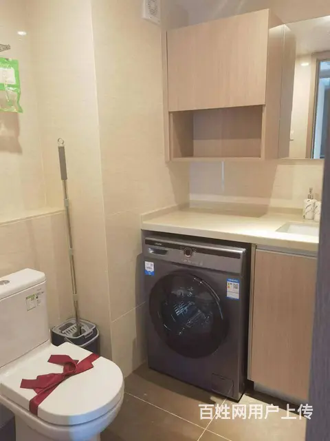 浙大森林 商住两用 豪华装修 - 图片 6
