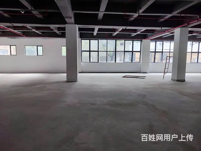 免中介 蓝海金融旁 100-1000㎡写字楼 租金50起 - 图片 4