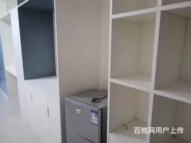 出租止泊园1室1厅1卫1阳台拎包入住豪华 - 图片 9
