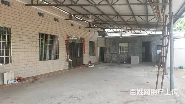 A（个人）黄兴镇独门独院520平米厂房出租编号2119 - 图片 6