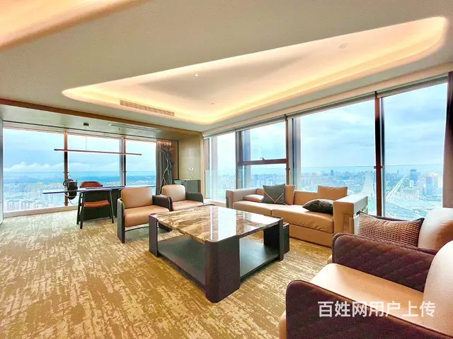 东方希望天祥广场地铁世纪城站天祥二街精装跃层天际出租 - 图片 10