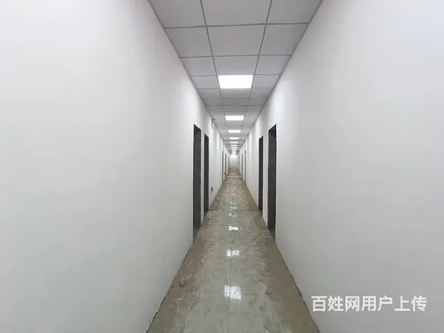 中州新城附近华隆特超市楼上800平出租 - 图片 3