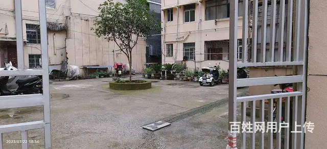 孩子陪读上班优选好房（出租） - 图片 2