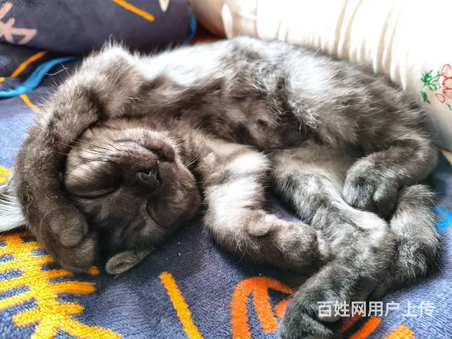 诚心出售 - 图片 2