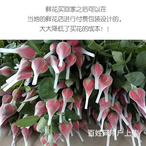 长期供应红玫瑰鲜花 - 图片 1