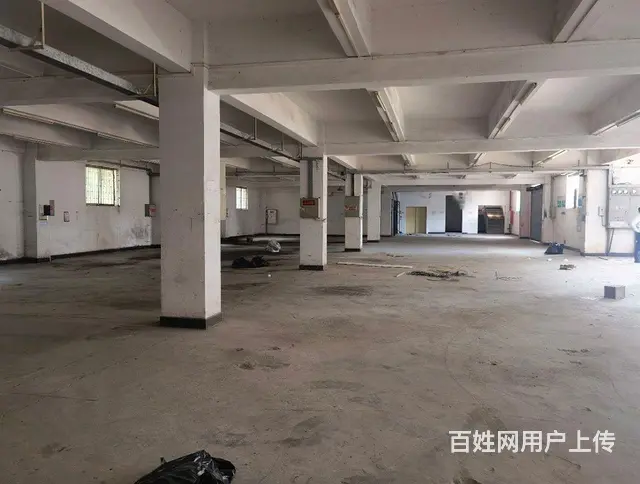 国有红本小独院厂房出售，台湾人年纪大退休回台 - 图片 4