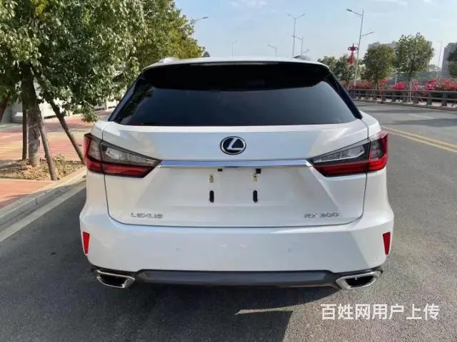 【搞定了！】19年雷克萨斯RX300 - 图片 1