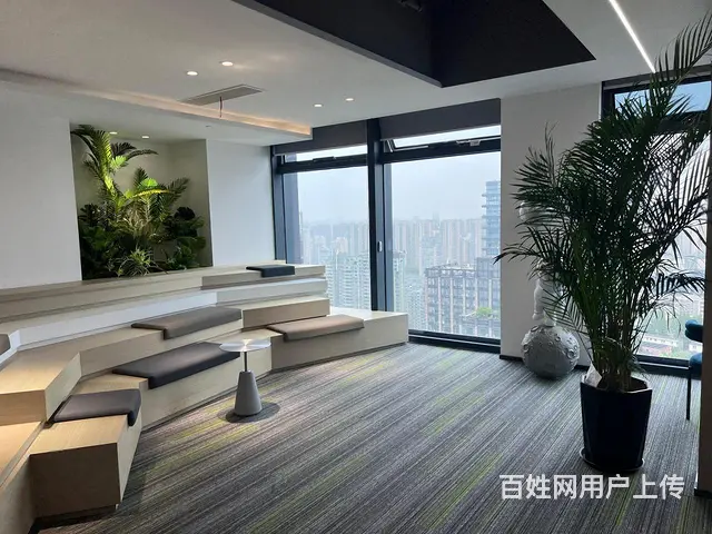 信雅达国际  一线江景 精装带家具 高区接待办公 直播摄影 - 图片 6