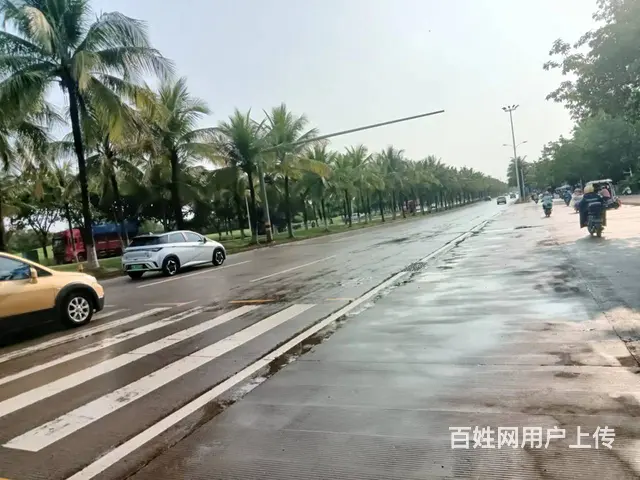 （51旺铺推荐）椰海家园62平旺铺招租 - 图片 11