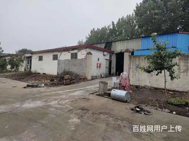 58金铺）义堂1200平厂房带独立变压器可做彩光瓦或pvc类 - 图片 7