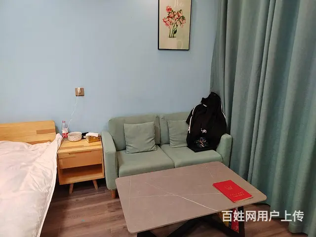千岛湖广场景秀花园路口附房公寓 公寓 豪华装修 - 图片 2