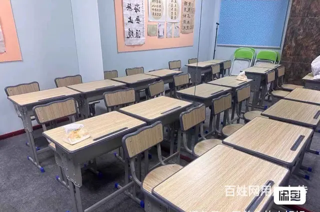 学校同款课桌椅家用学习写字桌椅可升降 - 图片 8