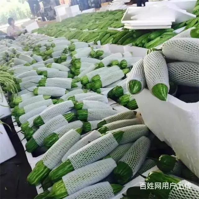 蔬菜配送厦门,厦门配送生鲜 - 图片 1