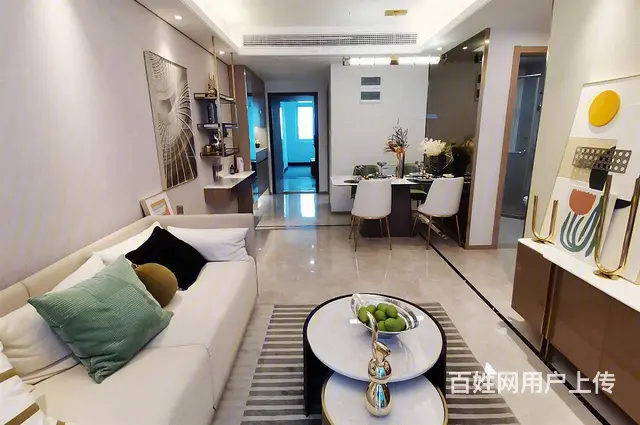 总价100万左右，精装交付，送车位，送软装 - 图片 7