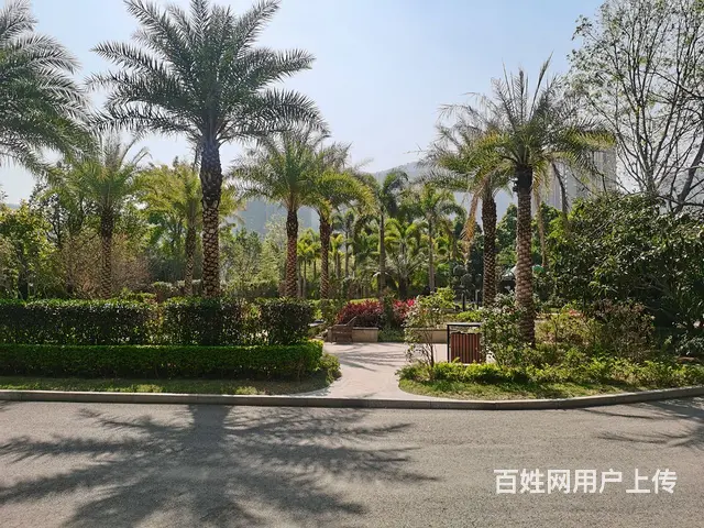 恒大城两居室住房出租 - 图片 8
