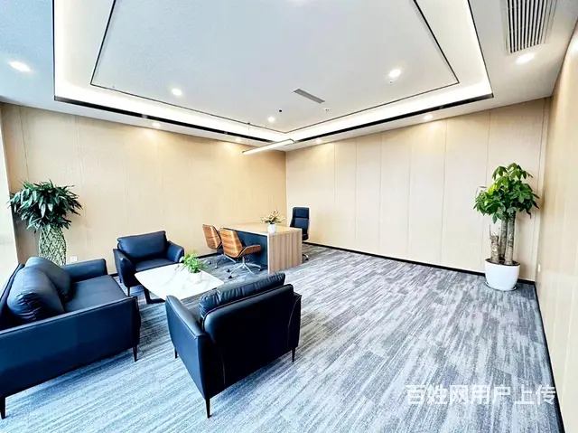 天府菁蓉中心兴隆湖低密阔办公全装全配环保办公家居 - 图片 8