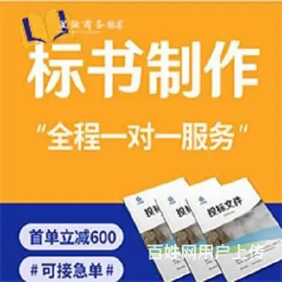 标书代写__投标书制作公司方案代写_代做标书选星弦 - 图片 3