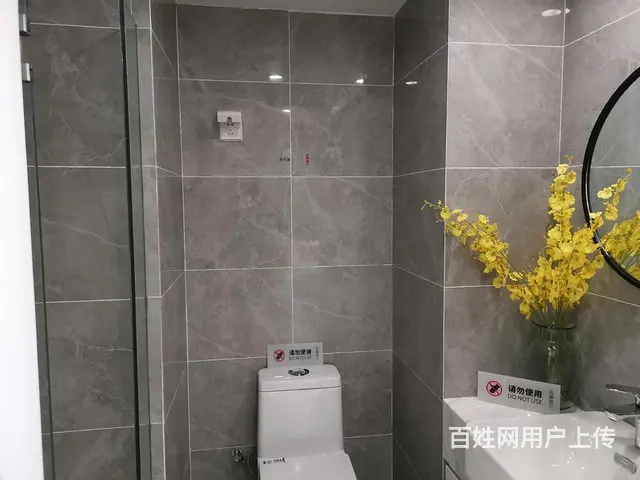 通燃气，通燃气城南核心 明湖之腹复式挑高公寓，可做两室 - 图片 4