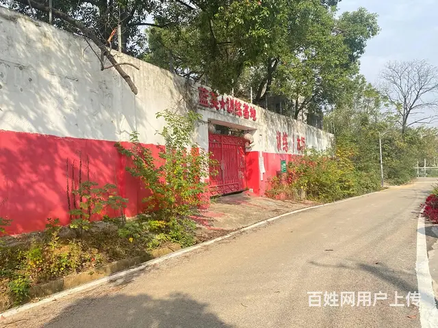 (房东直租)白箬铺319国道占地6亩场地，学校，可随时改厂房 - 图片 2