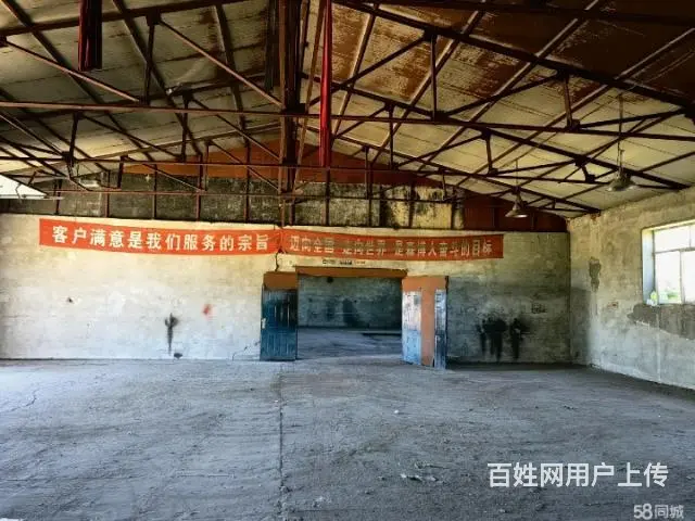 松北区厂房出租 - 图片 5