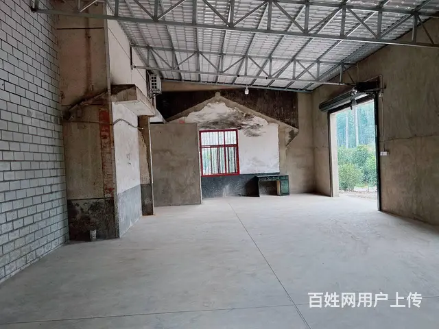 （老板本人）雨花区洞株路口新建厂房/仓库出租  5703 - 图片 2
