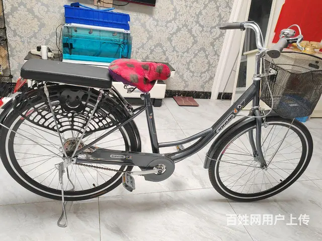 上海凤凰自行车 - 图片 4