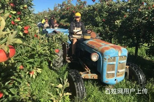 正规劳务输出公司（诚招代理）办理不成功全款退还 - 图片 12