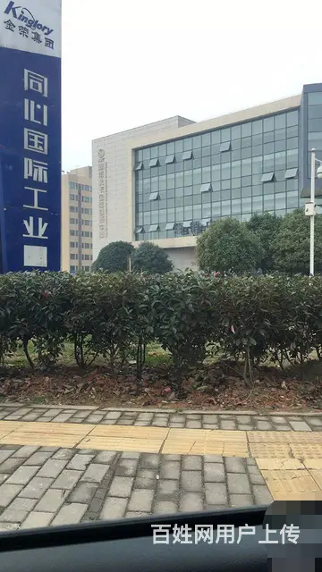 长沙岳麓区湘江新区厂房仓库出租出售 - 图片 4