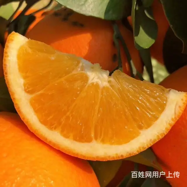 找个带货主播合作 - 图片