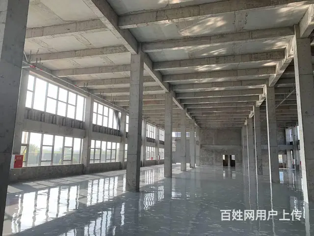 非中介，免3年政策，成新蒲路边（厂房出租出售 - 图片 6
