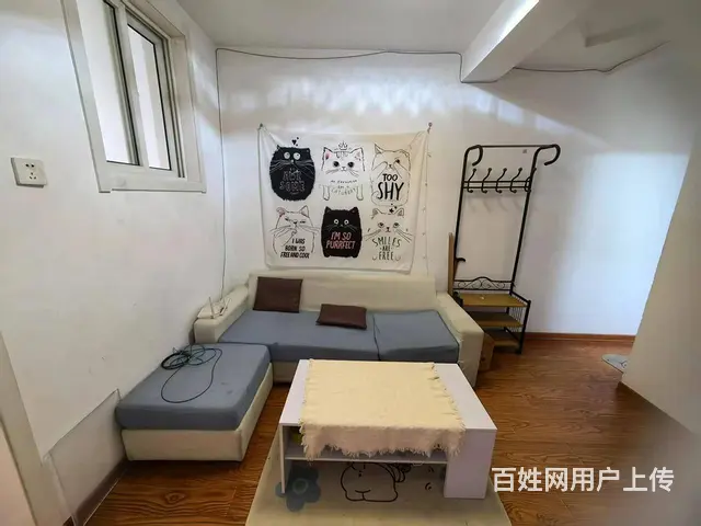 王场东村 普通住宅1厅 精装修 - 图片 1