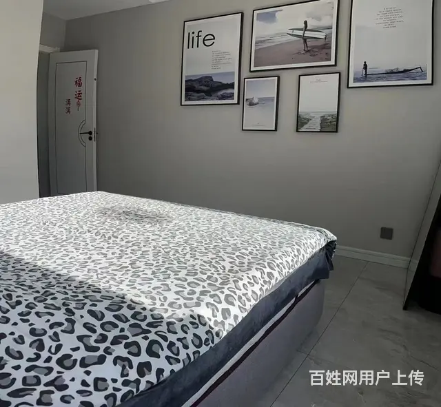 五一设计院小区 普通住宅 豪华装修 - 图片 4