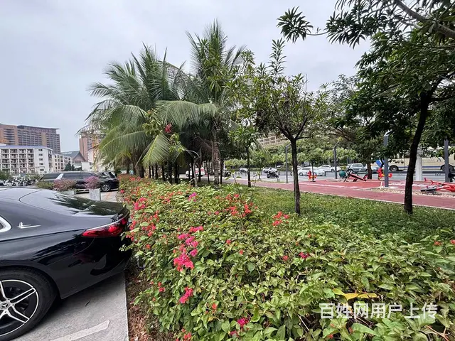 （51旺铺推荐）金鸡岭60平店铺出租 - 图片 3
