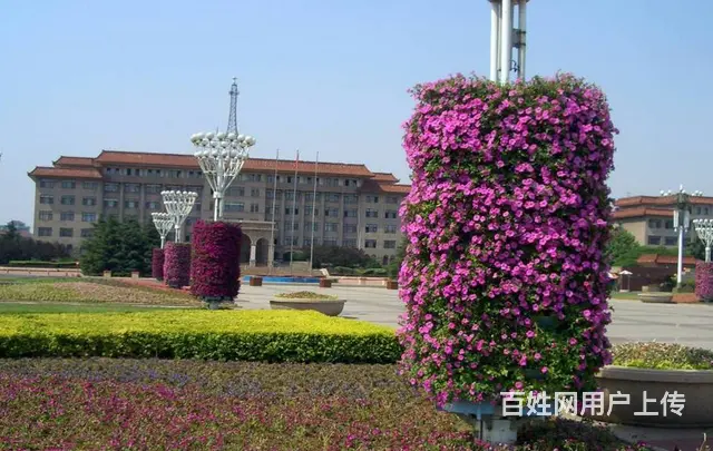 沈阳灯杆景观种植花盆圆顶柱子抱盆立体绿化容器厂家 - 图片 3