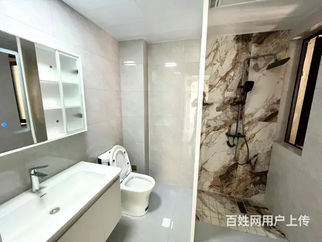 房东豪华装修！城南市政旁 凯迪塞纳河畔 轻轨口近九九广场 - 图片 2