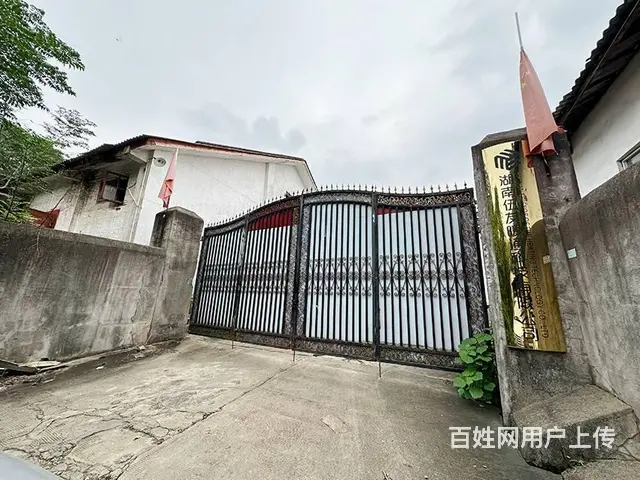 （老板本人）望城独门独院厂房仓库出租  6213 - 图片 1