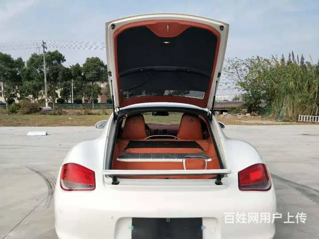 保时捷Cayman [卡曼](进口) 2009款 - 图片 9