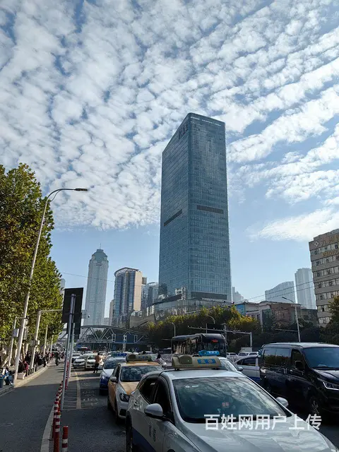 健康高素质男士无不良嗜好真诚交友 - 图片 2