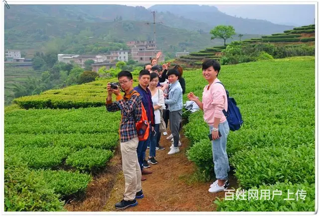 9.11天晟中国茶学系统培训班开班了 - 图片 12