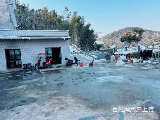 （老板本人）岳麓区岳宁大道旁独门独院房屋厂房仓库出租5915 - 图片 8