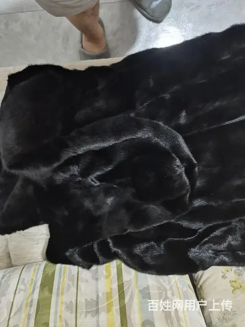 新貂皮大衣， - 图片 2