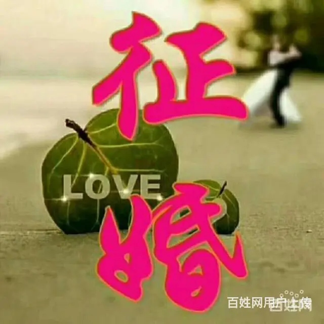 好男人征婚 - 图片
