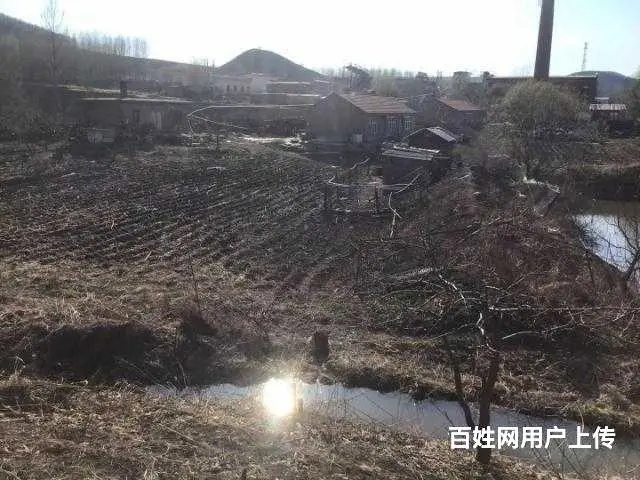 胜利林场鱼塘山庄出售 - 图片 8