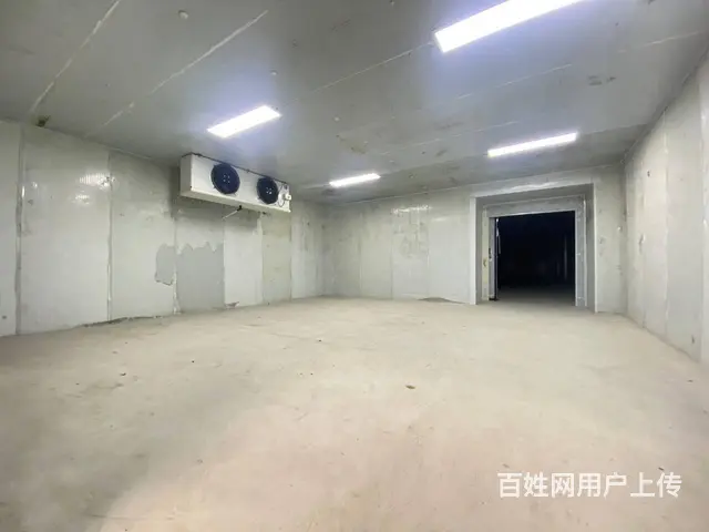 黄桥大道岳麓大道高铁西板块黄金园160一700平冷冻库转让 - 图片 5