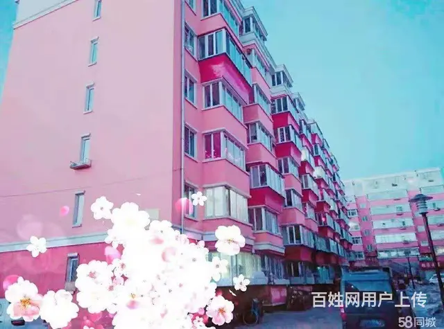 兴安台兴东小区男子单身合租公寓 - 图片