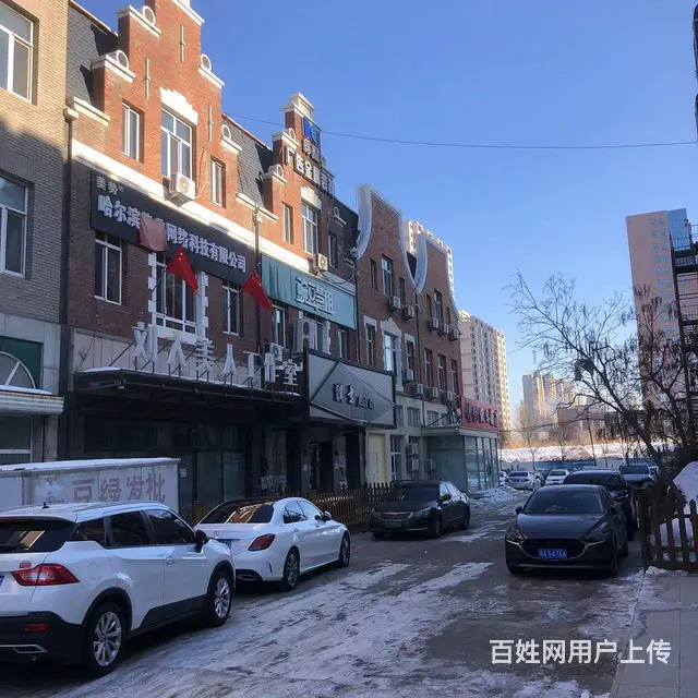 【搞定了！】松北世茂大道商业街商服独栋房主直租 - 图片 2